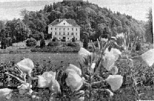 dvorec_park_pred_2_sv_vojno.jpg