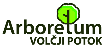 logo_avp_w350.png